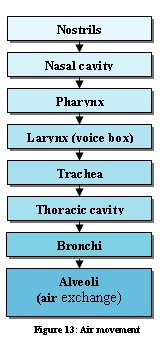 Figure 13: Air